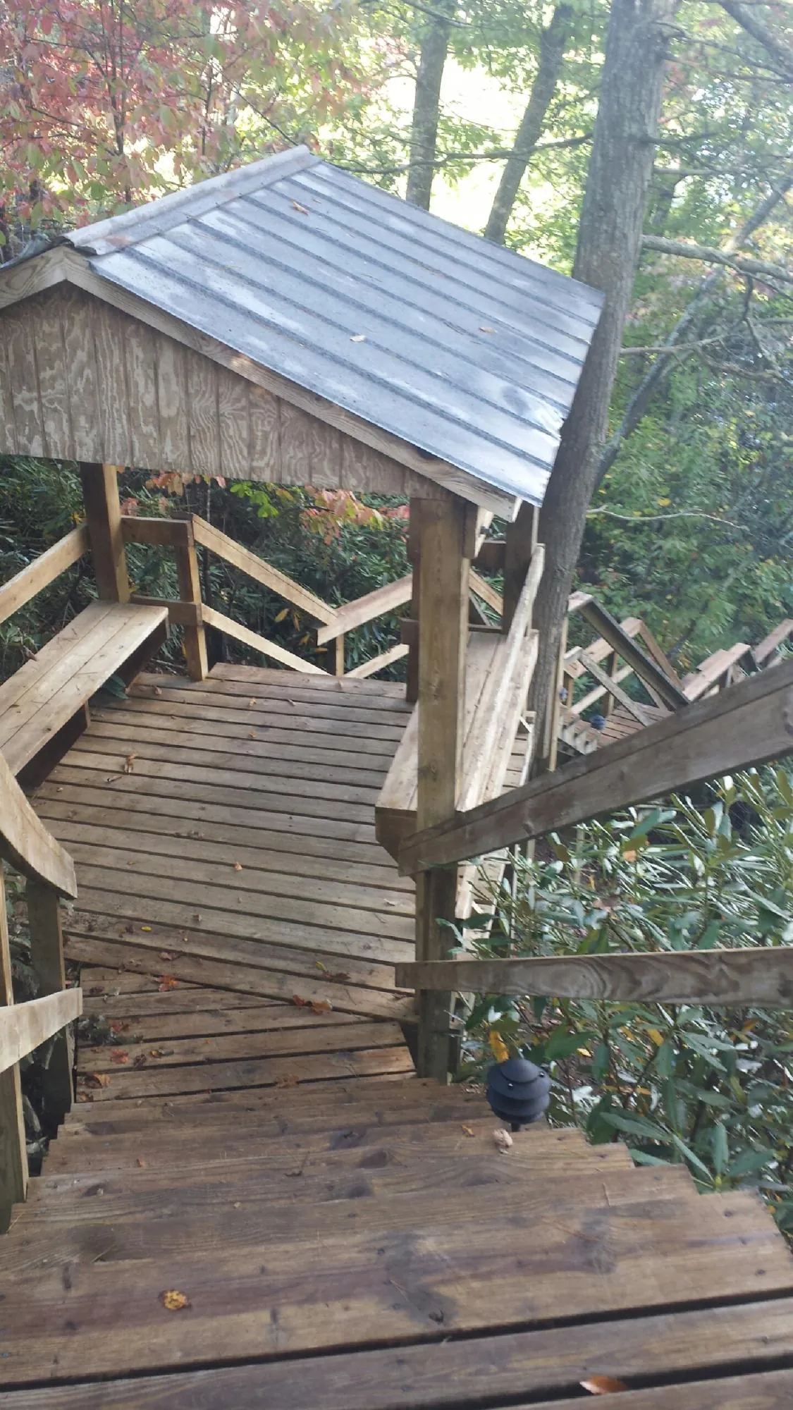 Metal roofed shelter over wooden steps on a wooded walkway in Grubville